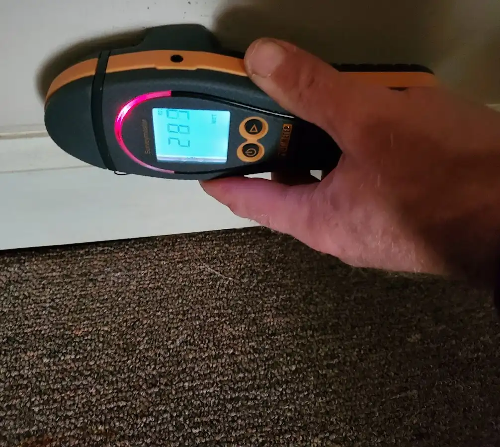 Moisture detection at baseboard during Sewage Cleanup & Sanitation in West Caldwell
